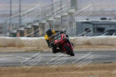 media/Mar-02-2025-Race Pace (Sun) [[8bec80ae00]]/12-Vested (Turn 2) 1111am/